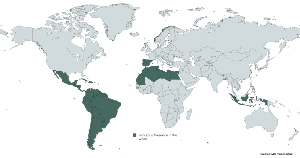 Mapa Mundi Protubsa